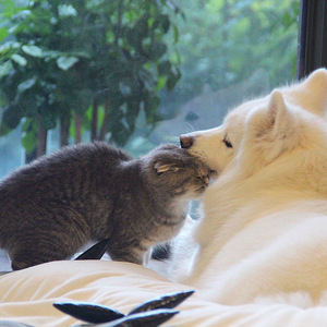 天堂一区二区三区在线观看
